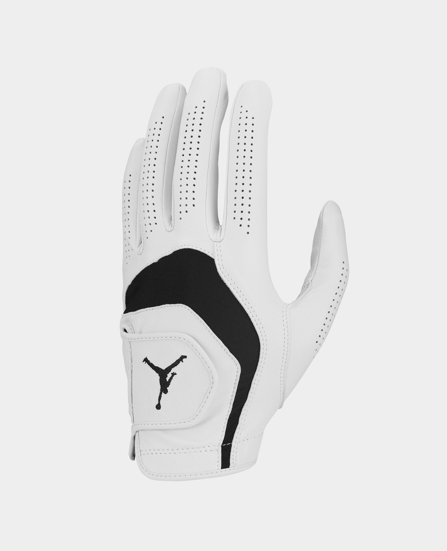 NIKE JORDAN GOLF TOUR GG REG L JP